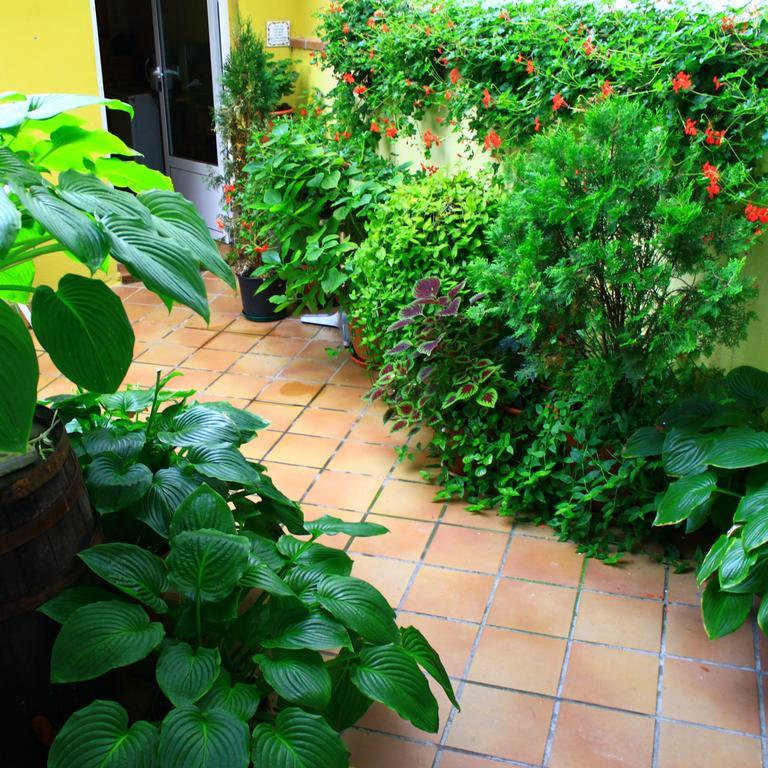 Hostal Escartin Sabiñánigo المظهر الخارجي الصورة