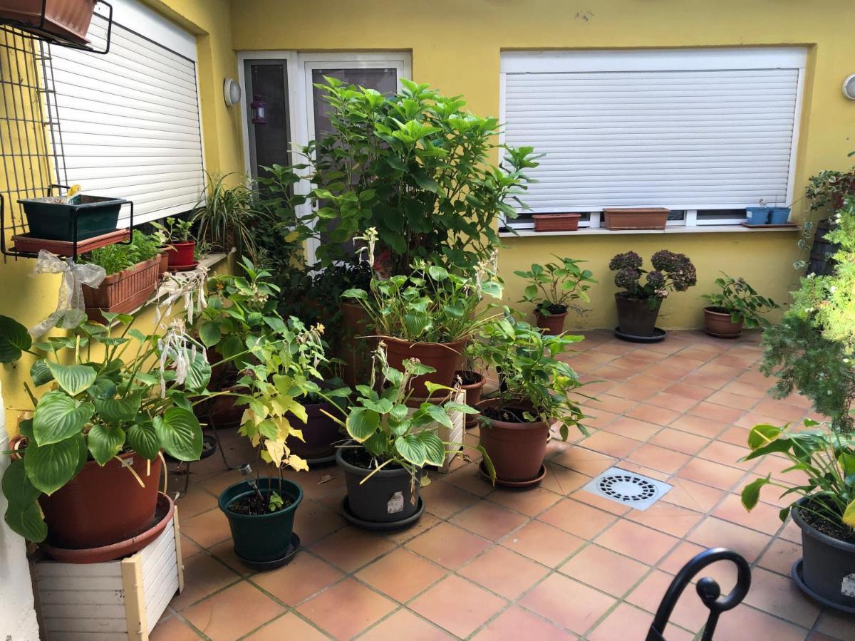 Hostal Escartin Sabiñánigo المظهر الخارجي الصورة