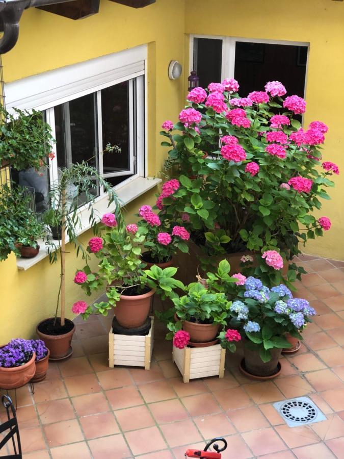 Hostal Escartin Sabiñánigo المظهر الخارجي الصورة